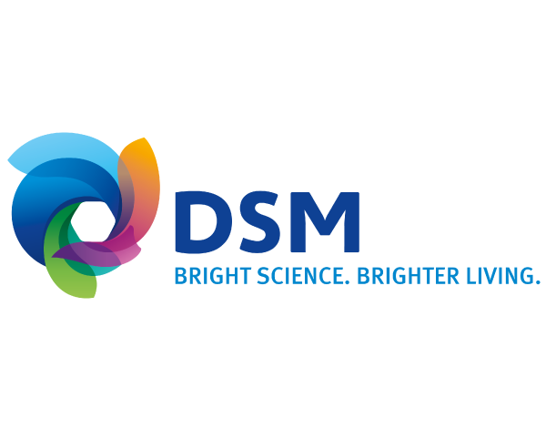 DSM-LOGO